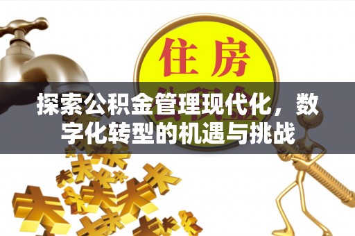 丰宁探索公积金管理现代化，数字化转型的机遇与挑战
