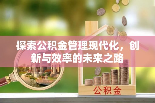 丰宁探索公积金管理现代化，创新与效率的未来之路