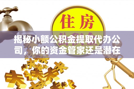 丰宁揭秘小额公积金提取代办公司，你的资金管家还是潜在风险？